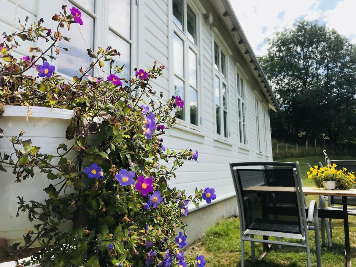 Hoiland Gard Gardshotellet Hjelmeland エクステリア 写真